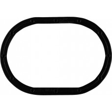 Guarnição Flange Combustível Fiat Injeção Elétrica 12 Furos