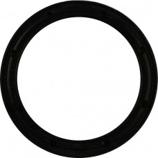 Guarnição Flange Combustível Omega 2.0 3.0 4.1