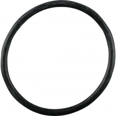 Guarnição Flange Combustível S10 Blazer