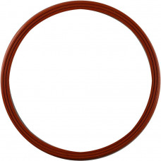 Guarnição Flange Combustível Gol Santana F1000