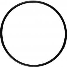 Guarnição Flange Combustível Renault Todos