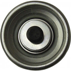 Polia Tensora Correia Alternador Ecosport Fiesta Superch 1.0