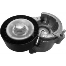 Polia Tensora Correia Alternador Picasso Peugeot 307 406