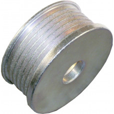 Polia Rigida Alternador Fiat Strada 1.7 1999 Em Diante