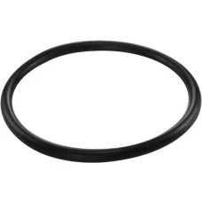 GUARNICAO DA FLANGE DO MODULO DE COMBUSTIVEL GM BLAZER/S10 2.2/2.4/2.5/4.3/4.8